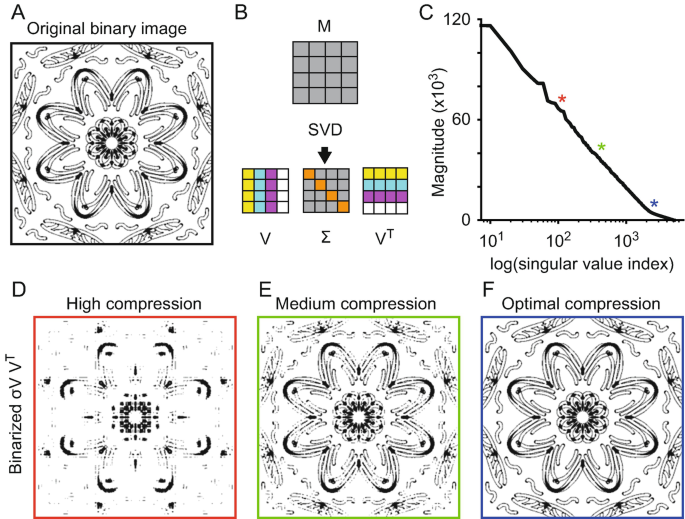 Identification of Neuronal Ensembles from Similarity Maps Using ...