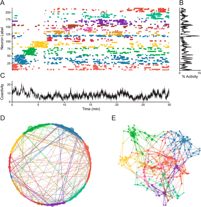 Identifying Neuronal Ensembles: A Graph Theoretical Approach | Springer ...