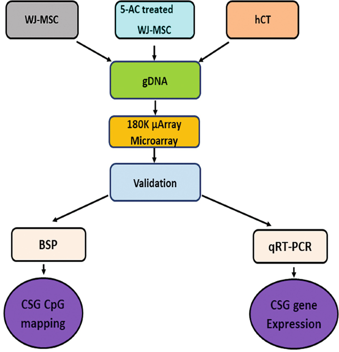 Semiquantitative Cardiac-Specific Gene Expression Validation of the DNA ...
