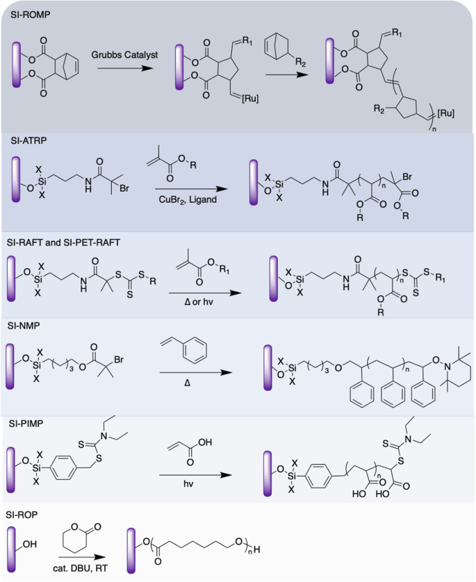 Surface Functionalization of Elastomers with Biopolymers | SpringerLink