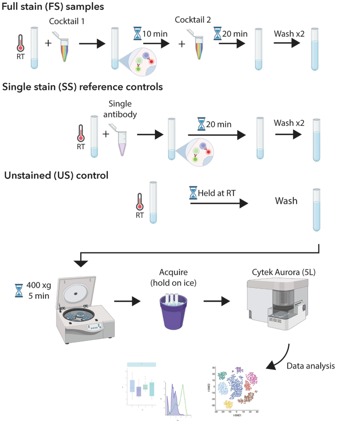Staining Flowchart Deep Immunophenotyping in ME/CFS Using Spectral Flow Cytometry ...