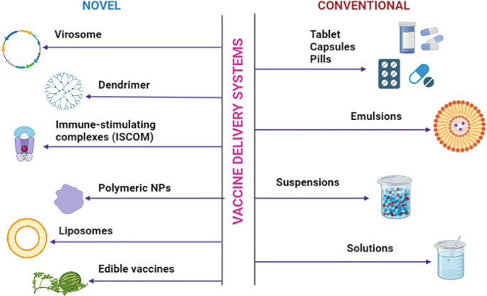 Drug Delivery to the Immune System: Immunotherapies and Vaccines ...