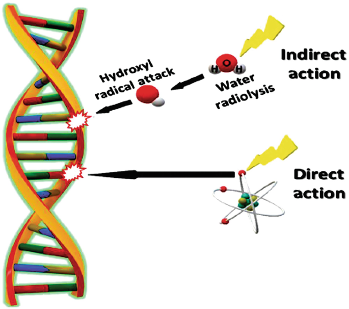 Radiation-Induced DNA Strand Break Detection by Gel Electrophoresis ...