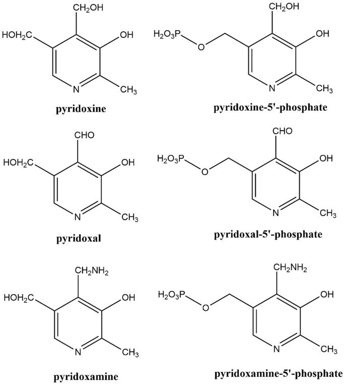 Pyrithioxin Analysis of Pyridoxine and Its Respective Vitamers by High-Performance ...
