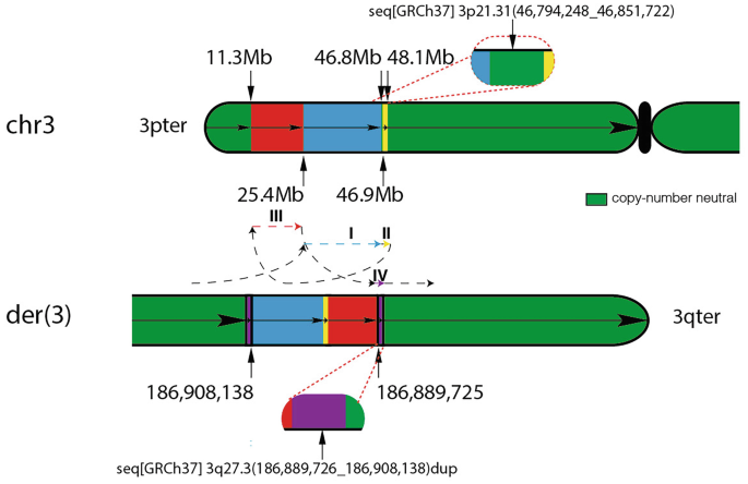 Chrm3 Signaling Genomic Detection and Delineation of Chromoanasynthesis by Mate-Pair ...