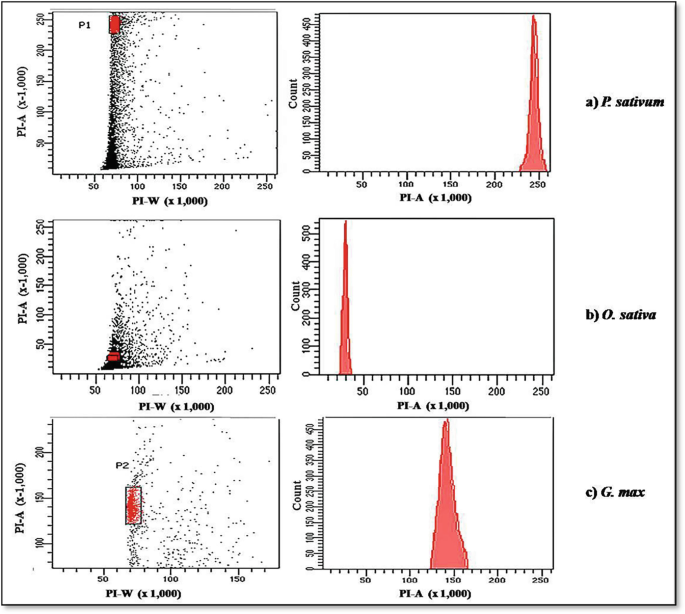 Flow Cytometry and K-mer-Based Approach for Genome Size Estimation of ...