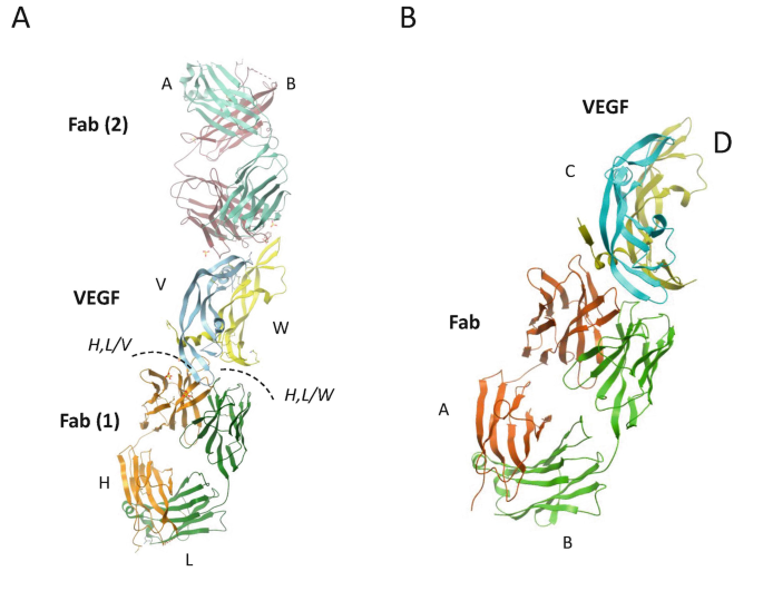Modeling Protein–Protein Complexes by Combining pyDock and AlphaFold ...