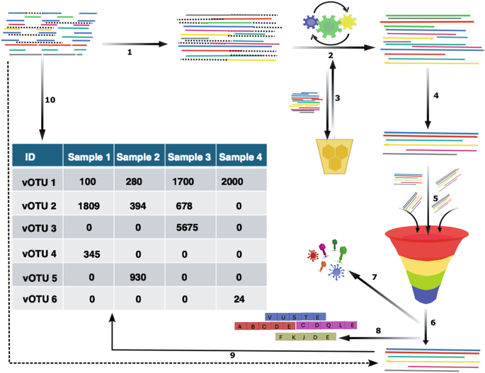 Virome Analysis | Springer Nature Link (formerly SpringerLink)