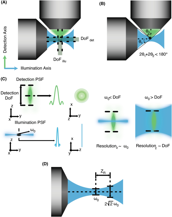 Advanced Tissue Clearing and Axially Swept Light-Sheet Microscopy for ...