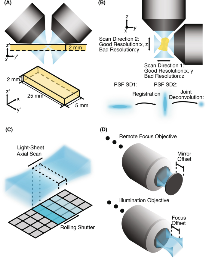 Advanced Tissue Clearing and Axially Swept Light-Sheet Microscopy for ...