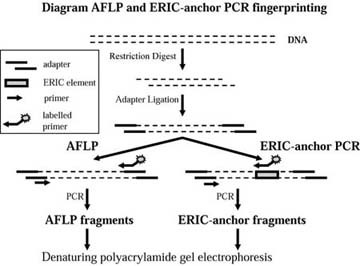 í µí± Scan of EGAM frequency and linear growth rate where the