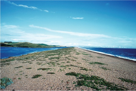 Visit-Dorset - A fantastic shot over Chesil Beach and the Fleet Nature  Reserve. 💦⁠ Chesil beach is a bank of pebbles stretching for 18 miles  along the Dorset Coast. Trapped behind this