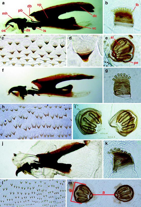 figure 4_3