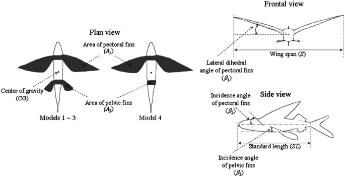 Investigation of Aerodynamic Capabilities of Flying Fish in