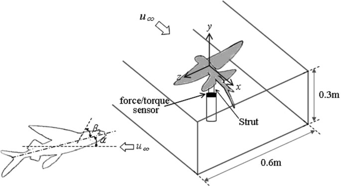 Investigation of Aerodynamic Capabilities of Flying Fish in Gliding Flight