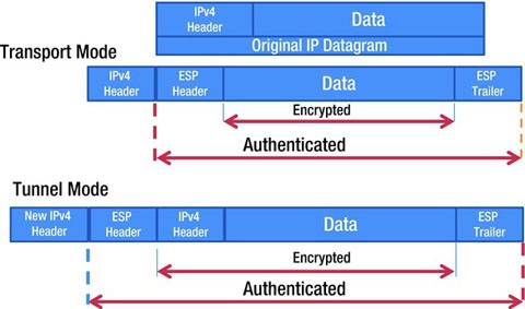 figure 12