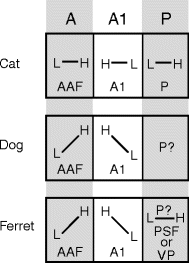 figure 19_5_117064_1_En