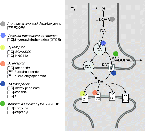 figure 2_13