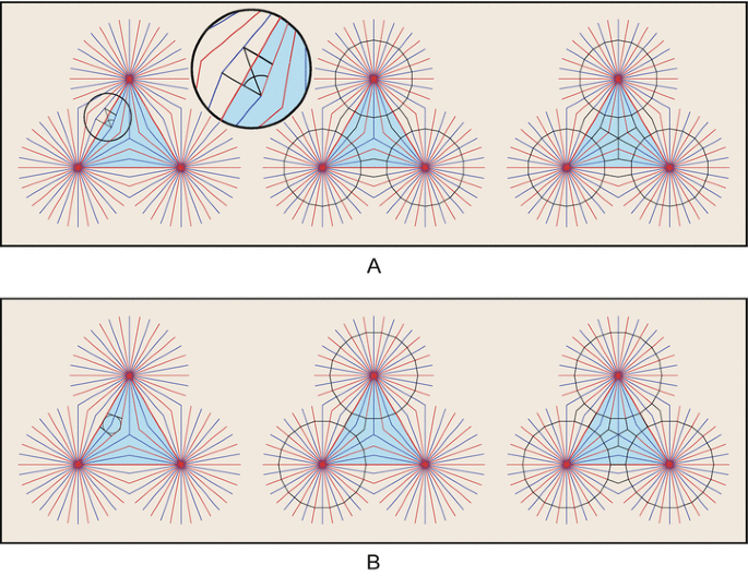 figure 242