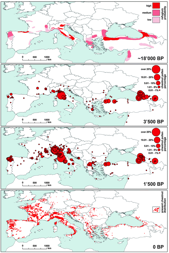 figure 2_19