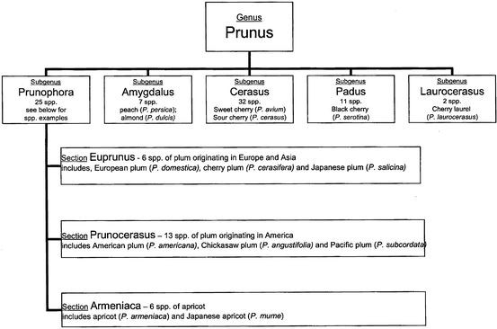 figure 1_23