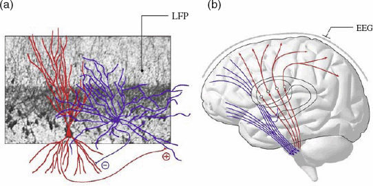 figure 11_1_159445_1_En