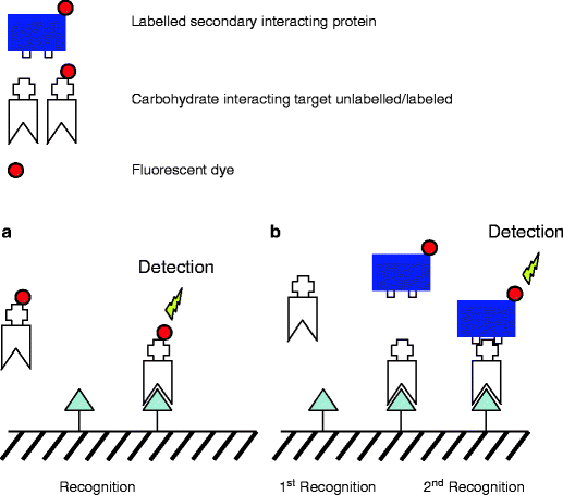 figure 26_7