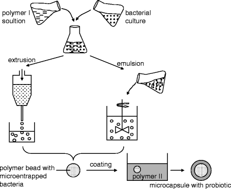 figure 2_10