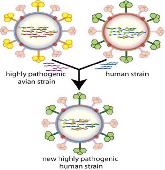 figure 45_1_185725_1_En