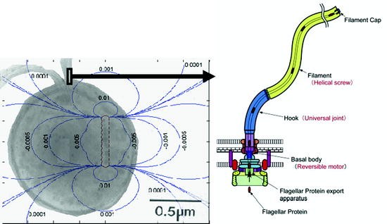 figure 2_17