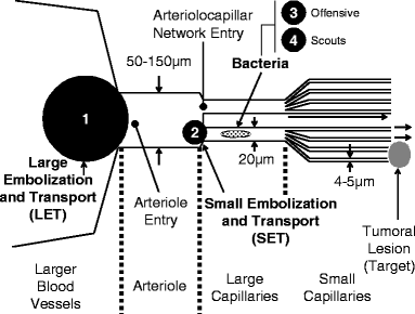 figure 6_17