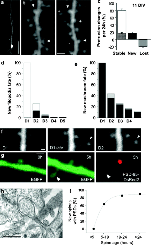 figure 1_16