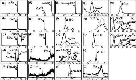 figure 14_1_117031_1_En