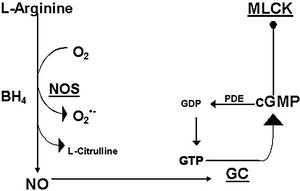 figure 4_1_117031_1_En