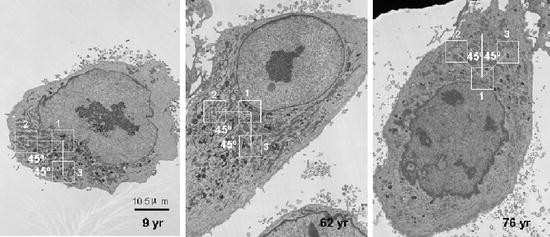 figure 20_3_159668_1_En