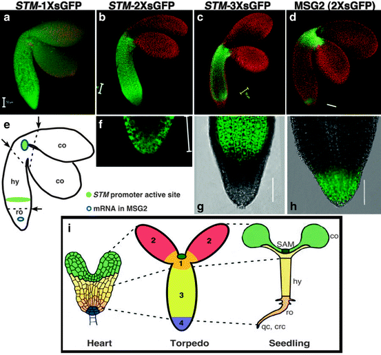 figure 1_2