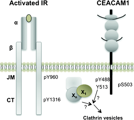 figure 4_12