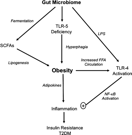 figure 1_16