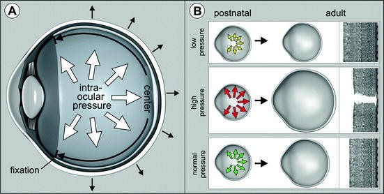 figure 2_26_152617_1_En