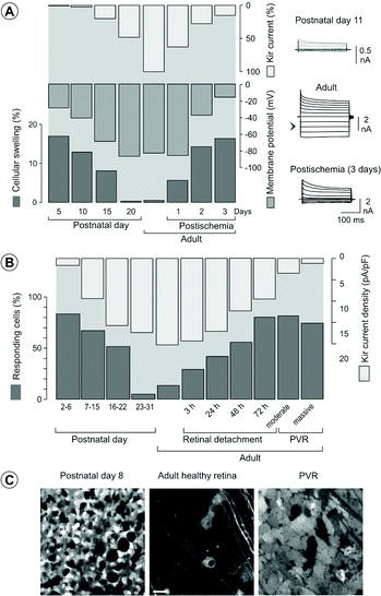 figure 2_45_152617_1_En