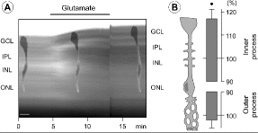 figure 2_58_152617_1_En