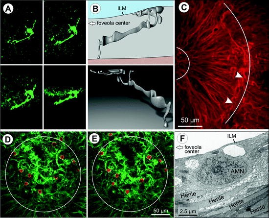 figure 2_8_152617_1_En