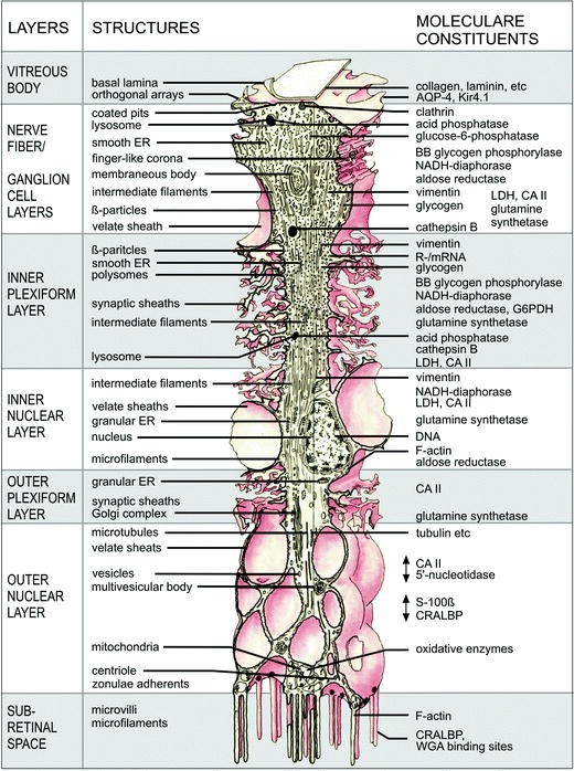 figure 2_9_152617_1_En