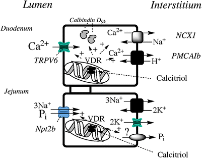 figure 4_2