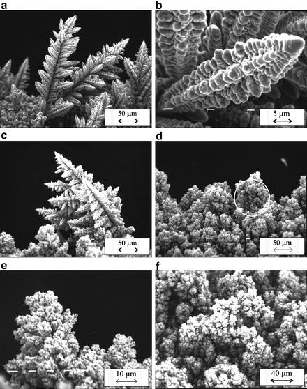 figure 39