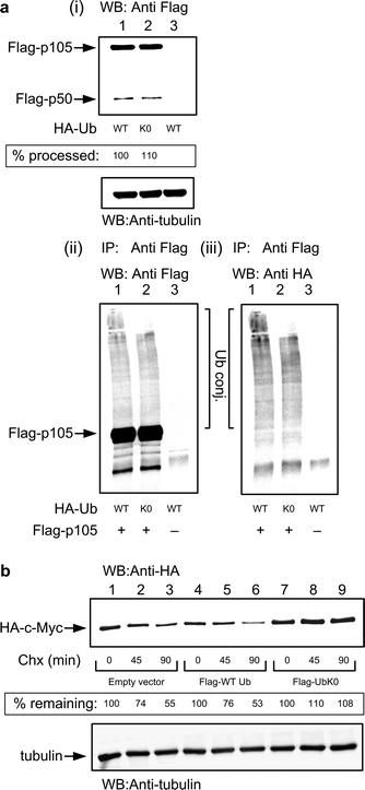 figure 10_4_183198_1_En