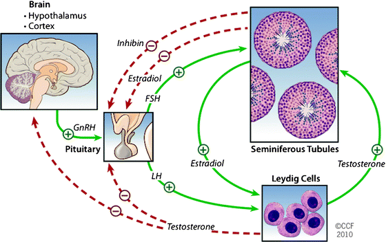 figure 1_2