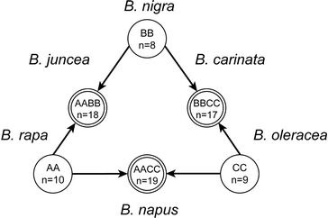 figure 2_1_162385_1_En