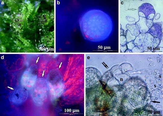 figure 3_10