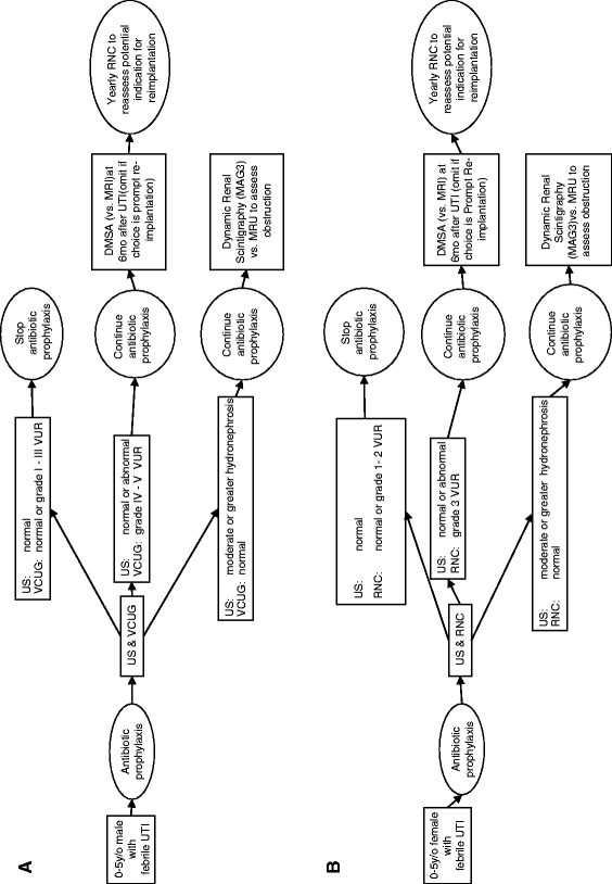 Hydronephrosis in Newborns - NIDDK